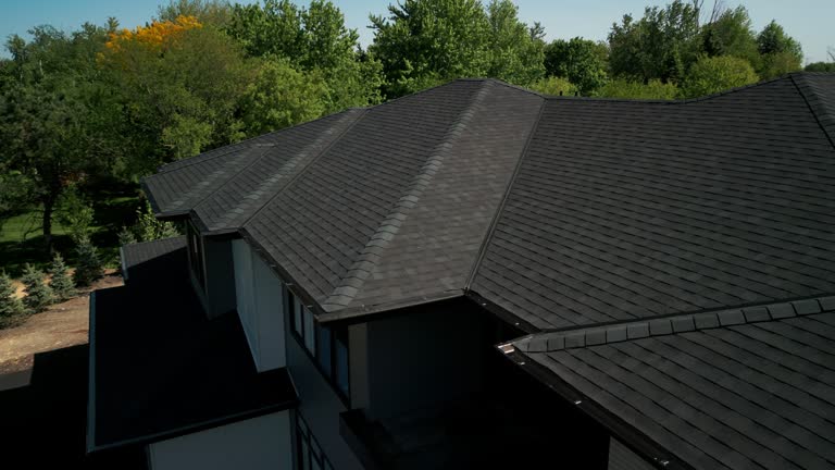 Best Roof Ventilation Installation  in Tiptonville, TN